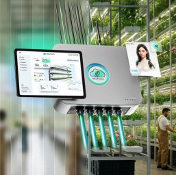 Новые экосистемы будущего: как Skyfarm меняет сельское хозяйство в России